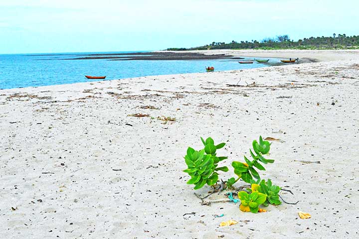 Praia de Barra Grande - Localizada em Cajueiro da Praia, reúne belezas naturais e é a mais frequentada da região. É atraente tanto para quem busca tranquilidade como quem gosta de passeios que ofereçam contato com a natureza e aventura.
