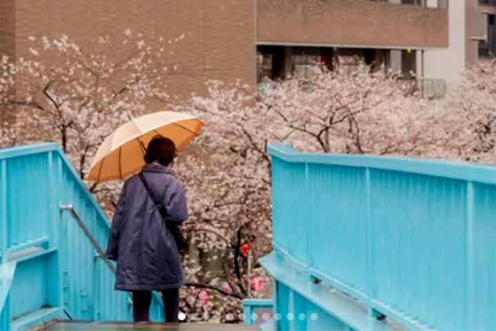 Essa ideia transforma o objeto cotidiano em um receptáculo espiritual com presença simbólica no ritual e na vida popular.