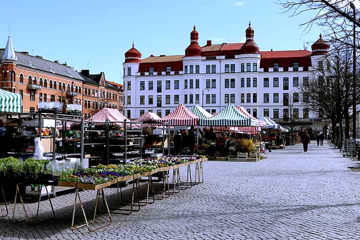 Com todas essas características, Malmö inspira debates sobre mobilidade urbana, multiculturalismo e desenvolvimento econômico em um contexto europeu conectado.
