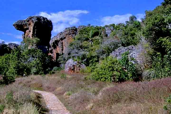 O parque funciona de quarta a segunda-feira, com entrada das 9h às 15h. A permanência é permitida até as 17h.