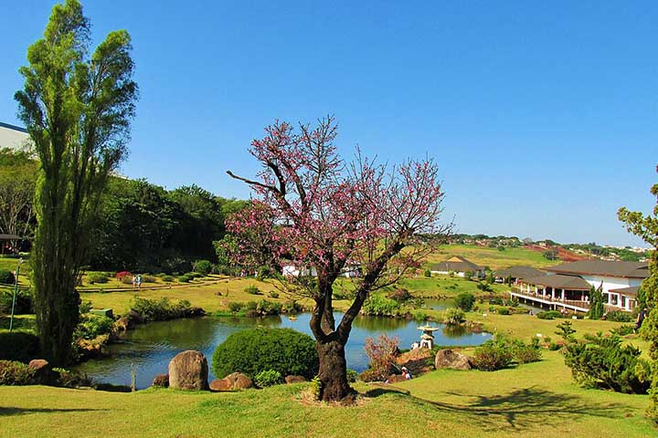 Dessa forma, o próprio desenho da cidade estimulou os moradores a manter calçadas limpas, respeitar espaços públicos e cuidar das áreas de convivência e bairros com distribuição. Os parques do Japão e do Ingá são alguns desses locais. 