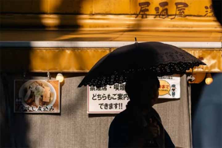 Esse objeto era considerado um longo sashikake-gasa, usado em cerimônias e eventos, incluindo casamentos, com propósitos tanto funcionais quanto simbólicos e segurado por assistentes de elites e dignitários.