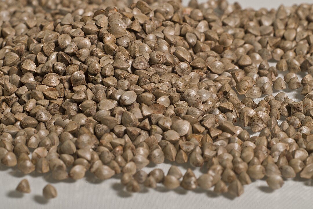 Rico em flavonoides como rutina, o trigo-sarraceno melhora a circulação e a saúde vascular. Também fornece magnésio e fibras, ajudando no controle da pressão arterial e da glicemia.