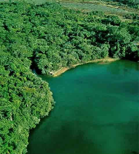 O parque também é um importante refúgio para a biodiversidade, abrigando espécies da Mata Atlântica e do Cerrado, como o lobo-guará, veados, tatus e diversas aves. Agora conheça mais sobre Ponta Grossa!