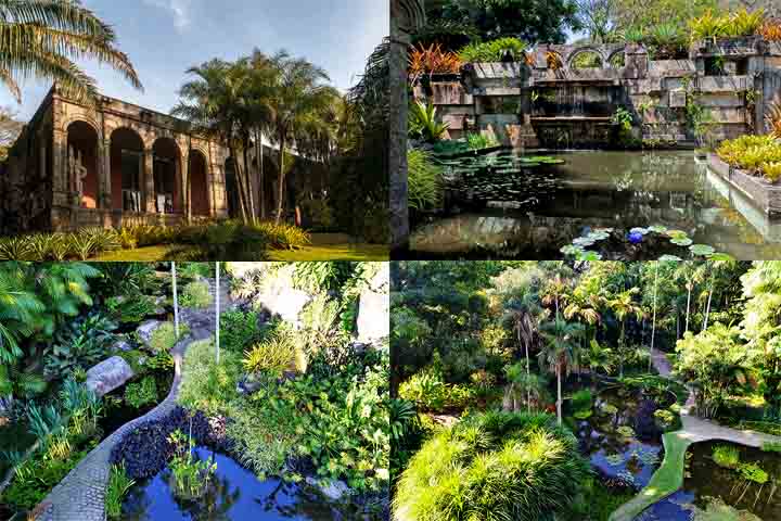 Sítio Roberto Burle Marx, Rio de Janeiro – Localizado em Barra de Guaratiba, o sítio reúne mais de 3 mil espécies vegetais e obras de arte em jardins planejados pelo paisagista Burle Marx, símbolo do modernismo tropical.