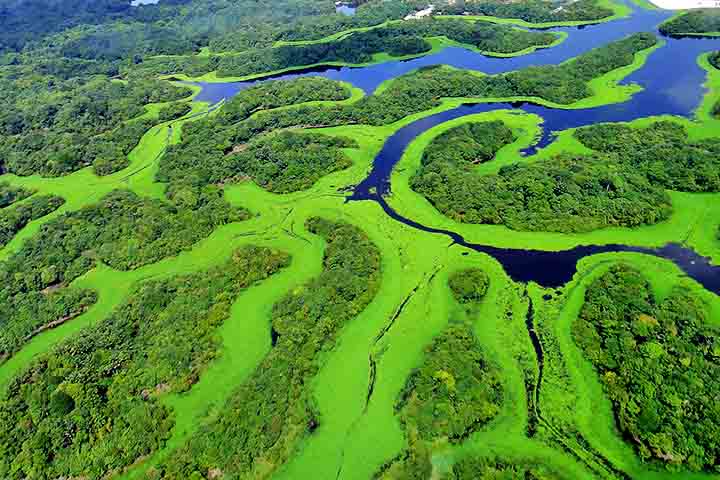 Complexo de Conservação da Amazônia Central, Amazonas – A maior área de floresta tropical protegida do mundo, reúne unidades de conservação com rica fauna e flora, além de rios e paisagens de rara beleza.