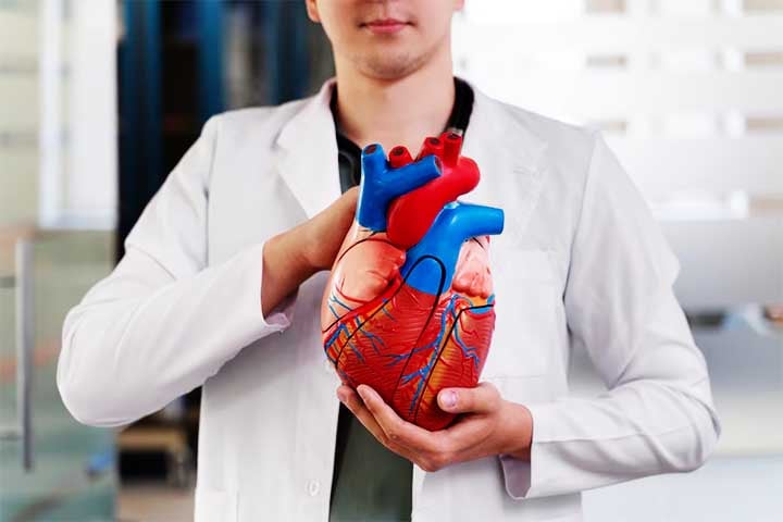 A Sociedade Brasileira de Cardiologia divulgou no dia 24 de setembro de 2025 a nova “Diretriz de Dislipidemias e Prevenção da Aterosclerose”, atualização que substitui a versão de 2017. 
