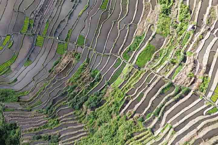 Eles foram classificados pela UNESCO como paisagem cultural viva e se destacam pelas paisagens das encostas íngremes. 