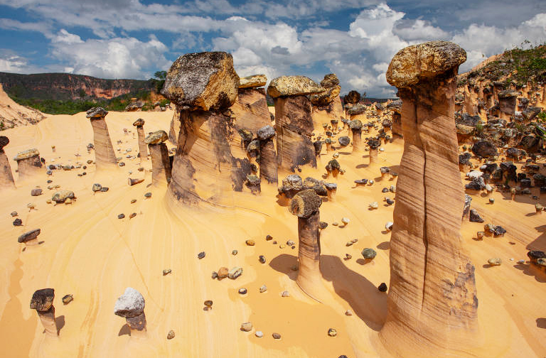 Estudantes da região estão sendo convidados a participar de visitas guiadas às chaminés, como parte de projetos de educação ambiental. A ideia é despertar o interesse pela geologia e pela conservação desde cedo, formando futuros defensores do patrimônio natural.