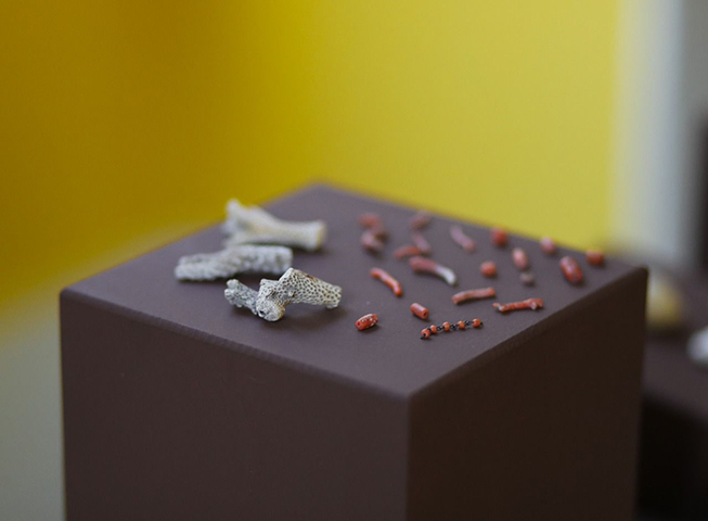 O local representa a resistência, a liberdade e a herança cultural dos africanos e seus descendentes, pois valoriza a cultura de matriz africana e a luta pela implementação de direitos humanos. 