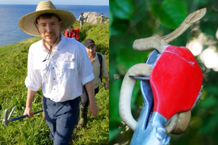 Ele passou uma noite no local e auxiliou um cientista na captura de algumas serpentes. 