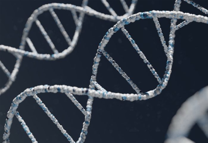 De acordo com reportagem da revista “Time”, a recriação do lobo-terrível pela empresa americana de biotecnologia não se deu pela reprodução total do DNA da espécie.
