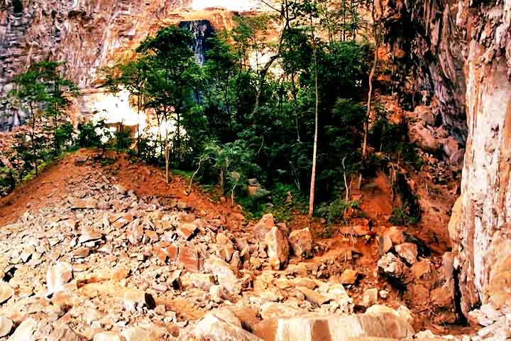 Por ter essa conexão com ecossistemas diversos, o parque possui riqueza da flora e fauna, com espécies dos três biomas brasileiros.
