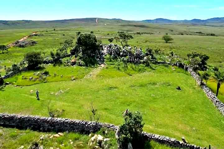 Na região da Serra da Canastra, em Minas Gerais, um trabalho constante de conservação tenta preservar uma das aves mais raras e ameaçadas do mundo. 
