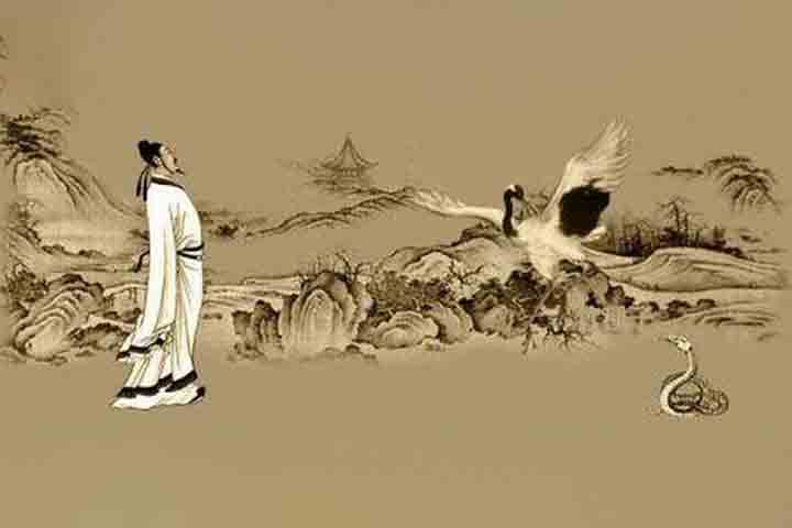 A lendária luta entre a garça e a serpente é uma história filosófica fundamental para a origem do Tai Chi Chuan, pois inspirou os princípios que tornaram essa atividade como arte marcial interna, focada na suavidade e no equilíbrio.