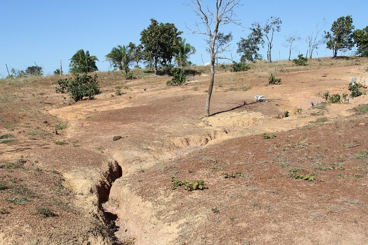 O impacto causou uma destruição significativa na região, afetando espécies de répteis e anfíbios da época.