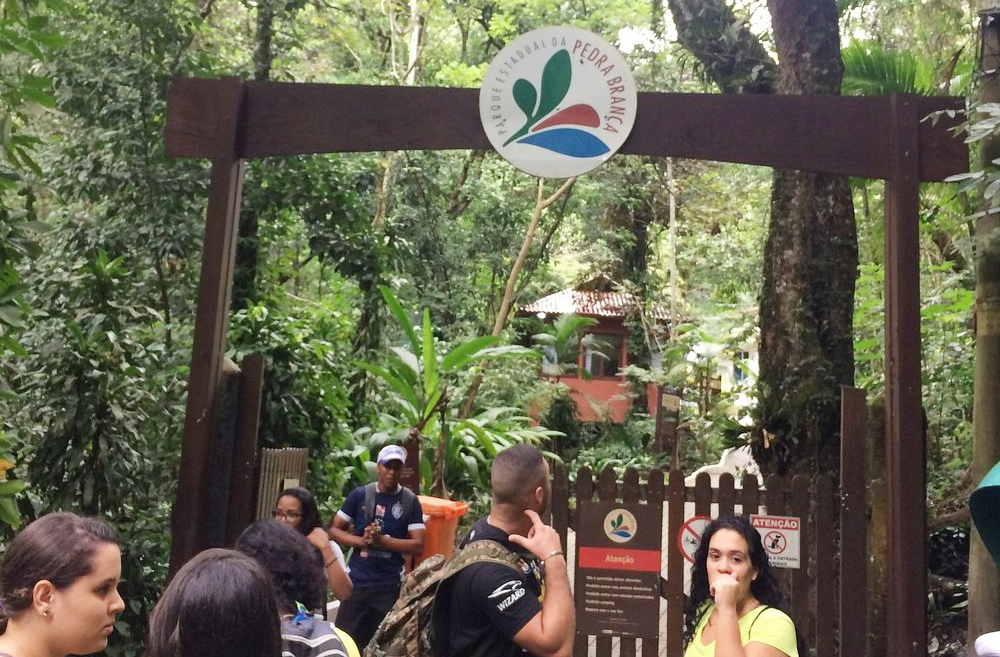 O exemplar centenário de jequitibá-rosa encontrado no Parque Estadual da Pedra Branca, em Guaratiba, tem cerca de 500 anos e é considerado um dos seres vivos mais antigos da cidade do Rio. Sua imponência e longevidade impressionam visitantes e especialistas.

