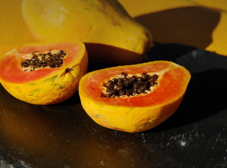 O consumo regular de mamão também pode auxiliar na redução dos níveis de colesterol e triglicerídeos no sangue. Suas fibras diminuem a absorção de gorduras durante a digestão, enquanto os antioxidantes, como a vitamina A, ajudam a evitar a oxidação das células de gordura.