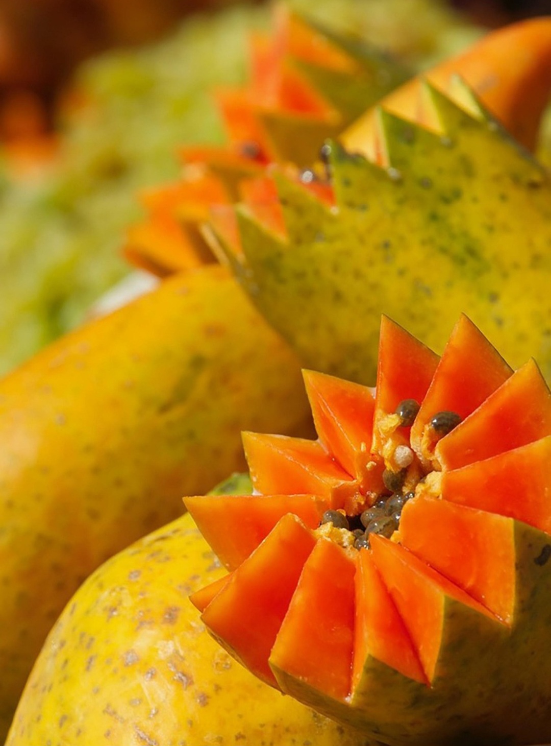 Um dos benefícios mais conhecidos é a sua ação no sistema digestivo. Por conter enzimas como a papaína, o mamão auxilia na digestão de proteínas, agindo de forma semelhante ao suco gástrico. Essa enzima é encontrada em maior quantidade no mamão verde.