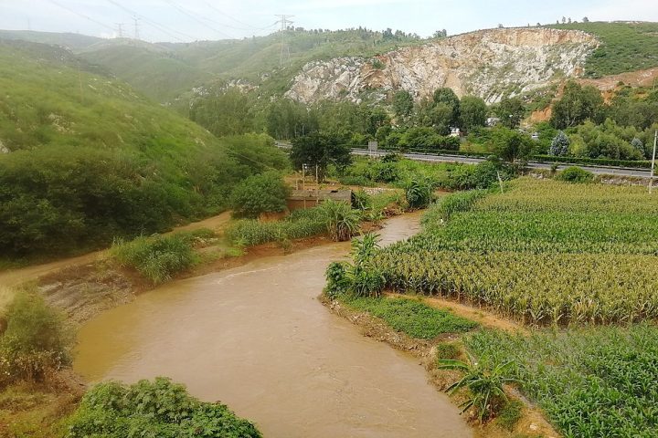 A espécie se alimenta de pequenos peixes e larvas aquáticas, especialmente de Corydalidae, que também são usadas como isca.