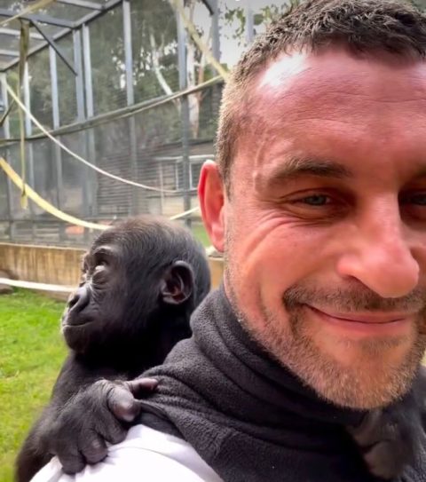 “Espero que haja um vínculo para a vida dele. Seria muito especial”, finalizou.