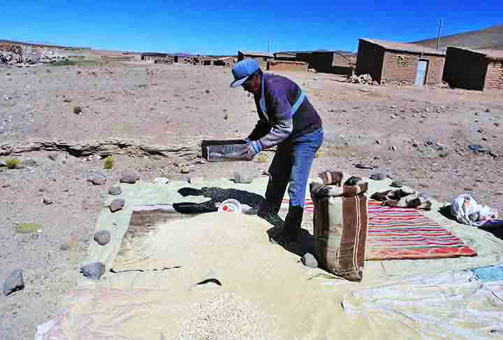 Além de sua beleza natural, o Salar de Uyuni possui uma importância econômica considerável. A região é rica em lítio, um mineral crucial para a fabricação de baterias, o que atrai atenção internacional para o local.