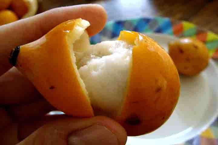 O achachairu tem um comprimento médio de 4,8 centímetros e largura média de 3,8 centímetros. Seu peso varia entre 15 e 50 gramas, sendo que a média é de 30 gramas. 