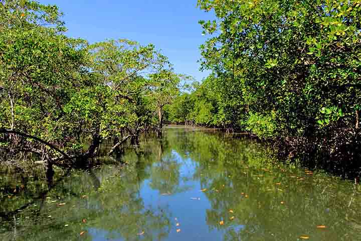 O nome “Tremembé” tem origem tupi-guarani, significando “alagadiço” ou “brejo”, em referência à presença de cursos d’água em sua área.
