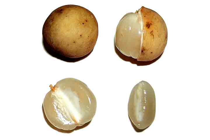 Contudo, este fruto é sensível e possui baixo tempo de conservação. Por isso, raramente é exportado para longas distâncias, o que limita ainda mais seu acesso em muitos países.