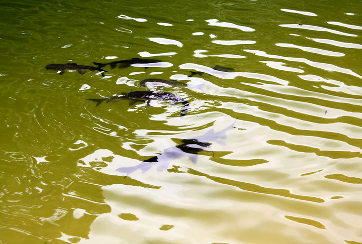 As águas ainda têm correntes perigosas e dunas de areia profundas que confundem as pessoas.  