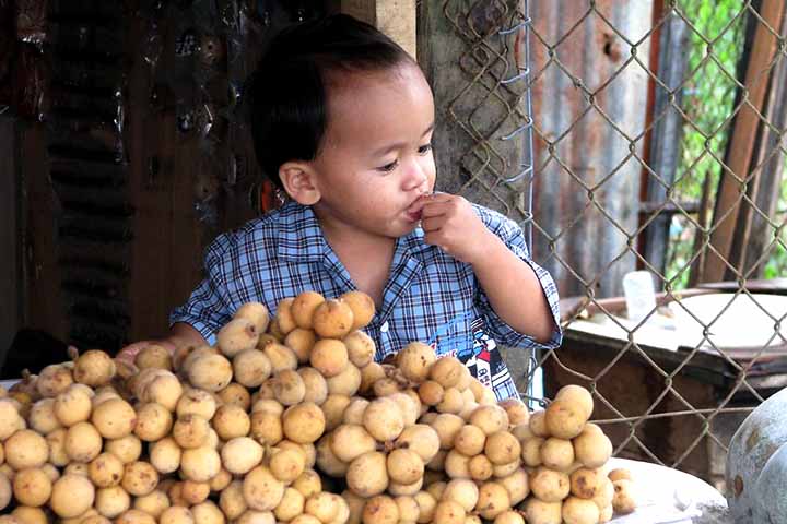 Ajuda a fortalecer o sistema imunológico, enquanto as fibras presentes na fruta promovem a saúde digestiva. Os antioxidantes encontrados nesta fruta também desempenham um papel importante na proteção das células.