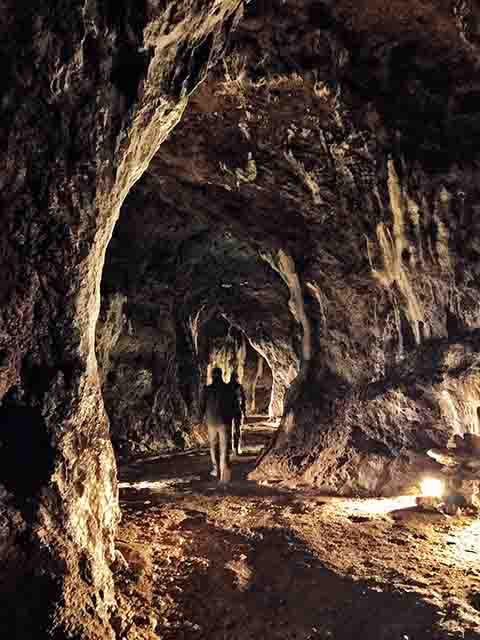 Além disso, o parque abriga mais de 400 cavernas, sendo a Gruta de Łokietek (ou Caverna do Rei Ladislau) uma das mais visitadas.