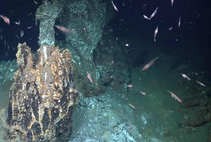 “Ferramentas avançadas nos permitem explorar e coletar dados de lugares nunca antes vistos por humanos”, declarou Jyotika Virmani, diretora executiva do Schmidt Ocean Institute.