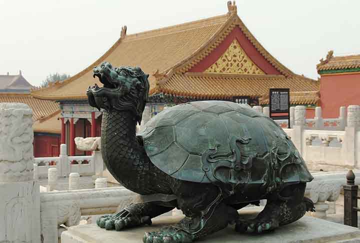 Já na China, a tradição diz que a entidade criadora, Pan Ku, convocou a tartaruga para colaborar na origem do mundo. A tartaruga simboliza a água e o inverno. Inclusive, confia-se que a tartaruga negra do Norte, Xuanwu, oferece a existência por um longo período, além de conhecimento e prudência. 