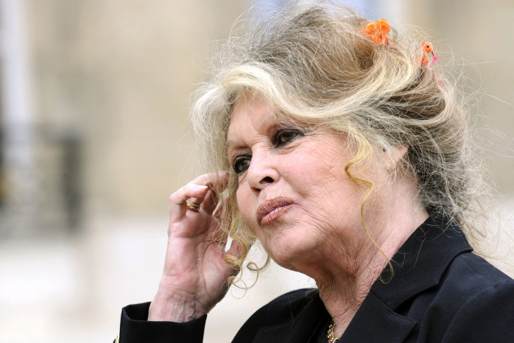 Brigitte Bardot em 2007, ap&oacute;s encontro com o presidente franc&ecirc;s Nicolas Sarkozy(Foto: ERIC FEFERBERG / AFP)