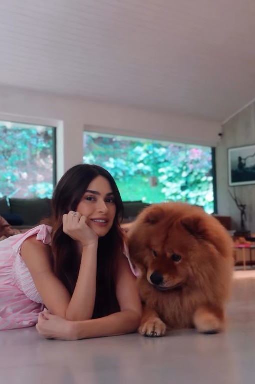 Thaila Ayala – mantém atuação contínua com a ONG Ampara Animal, participa de campanhas há mais de uma década e promove a conscientização sobre a proteção animal.
