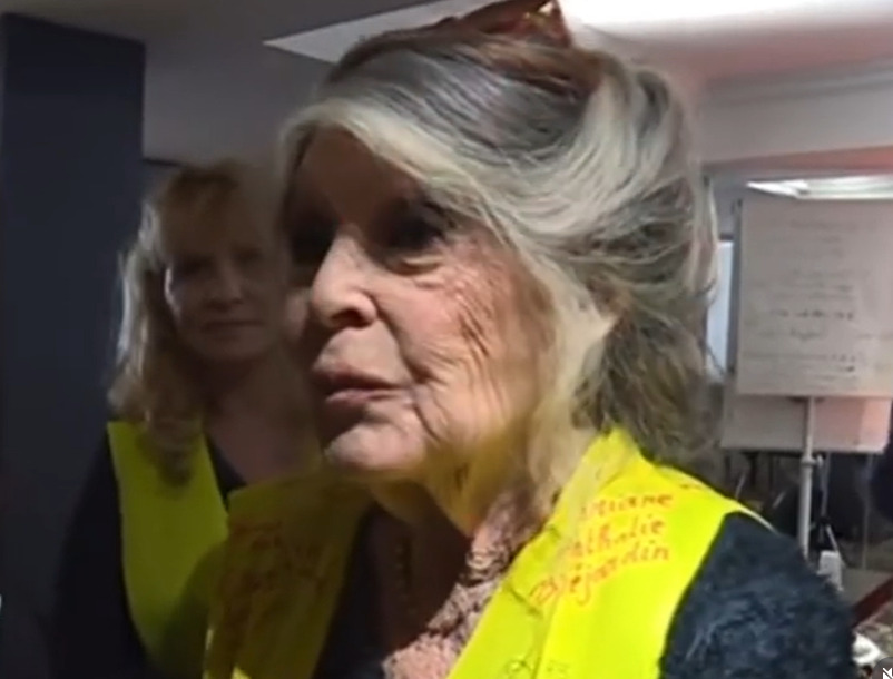 Após se retirar das telas na década de 1970, passou a dedicar sua vida à causa animal e fundou a Brigitte Bardot Foundation, tornando-se ativista. Sua morte provocou homenagens de figuras públicas, incluindo políticos franceses, e marca o fim da trajetória de uma das maiores estrelas do cinema europeu.