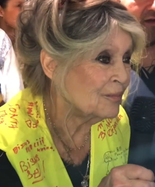 A morte de Brigitte Bardot, aos 91 anos, encerra a trajetória de uma das maiores e mais influentes ativistas dos direitos dos animais no mundo. Após abandonar o cinema no auge da fama, ela dedicou décadas à defesa de causas ligadas ao bem-estar animal, tornando-se referência internacional no tema.