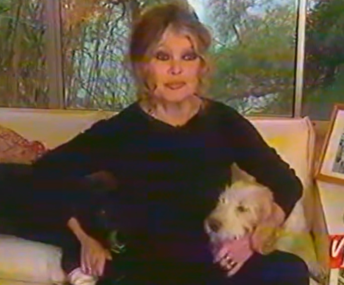 Fundadora da Fundação Brigitte Bardot, a francesa foi responsável por campanhas contra maus-tratos, caça e exploração de animais, além de pressionar governos por mudanças em leis e práticas. Sua atuação firme e, muitas vezes, polêmica, ajudou a colocar a causa animal no centro do debate público europeu e mundial.