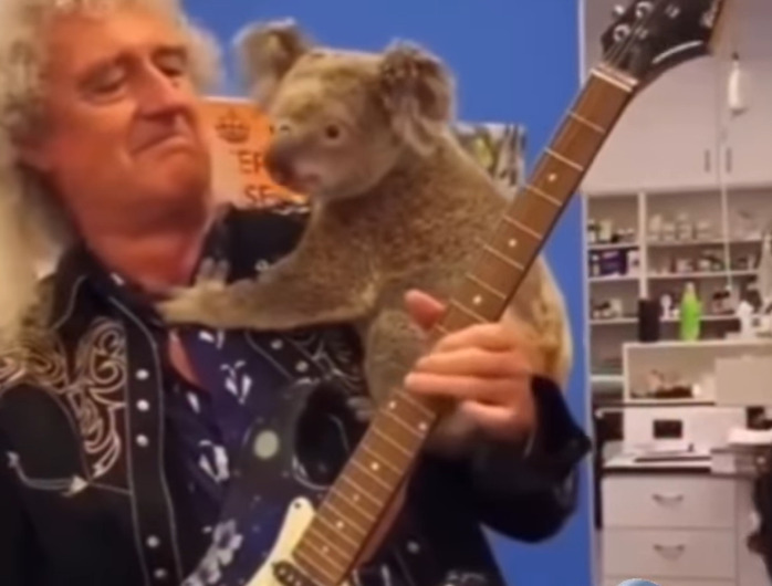  Em entrevista ao The Sunday Times, o músico declarou: “Quando eu me for, as pessoas, vão lembrar de mim pelo Queen, mas eu preferiria ficar na memória  por tentar mudar o jeito que a humanidade trata os animais.”