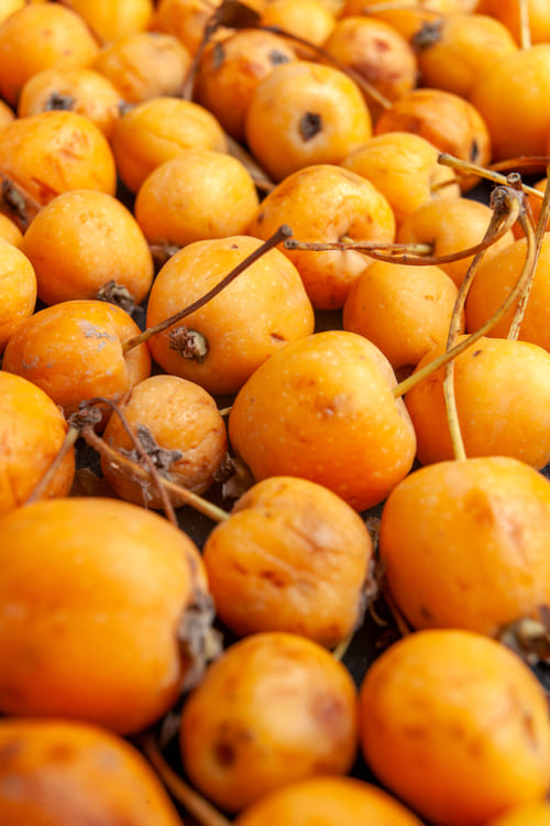 Na medicina, ela possui propriedades diurética e energizante, sendo indicada para aliviar espasmos, diarreia, disenteria, febre, gases, inflamação, limpeza de feridas e queimaduras.