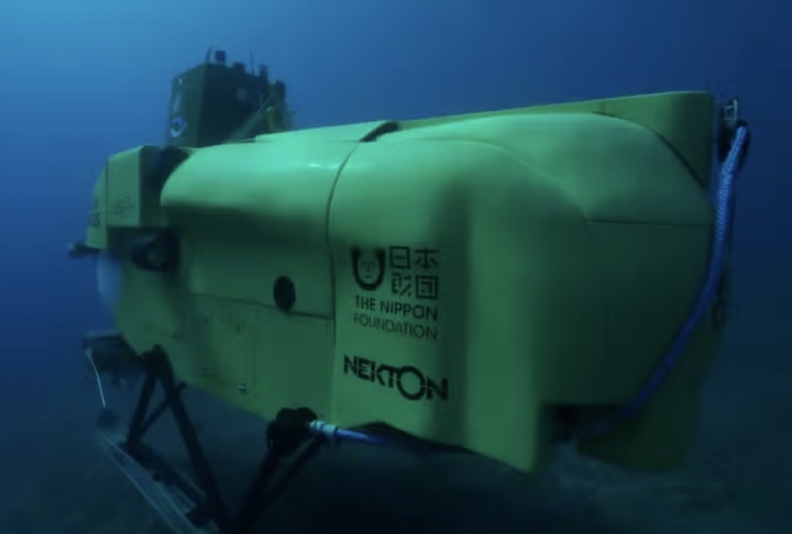 Pesquisadores de diversas instituições utilizaram o navio R/V Falko do Schmidt Ocean Institute e robôs subaquáticos (ROVs) para gravar vídeos em alta resolução e coletar 2 mil espécimes de 14 grupos animais diferentes.