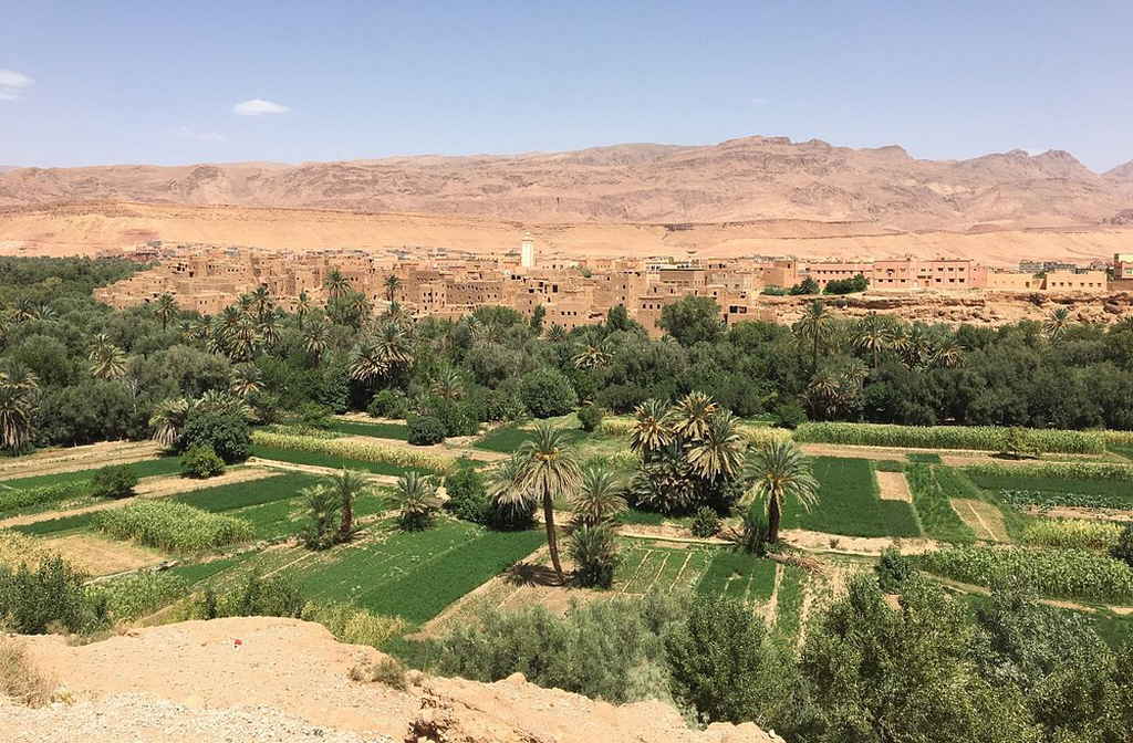 Antes de chegar à garganta, o visitante cruza um vale verdejante repleto de palmeiras e campos cultivados. O contraste entre o verde e o deserto é surpreendente. É uma pausa visual que antecipa a grandiosidade do desfiladeiro.