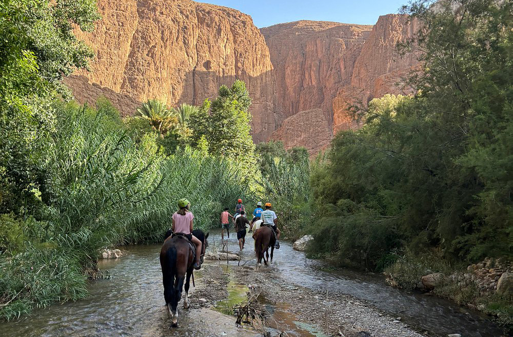 Quem visita o sul do Marrocos não pode deixar de incluir a Garganta de Todra no roteiro — é uma experiência única. Ideal para quem busca natureza, cultura e aventura em um só destino. É o tipo de lugar que transforma uma viagem em lembrança eterna.