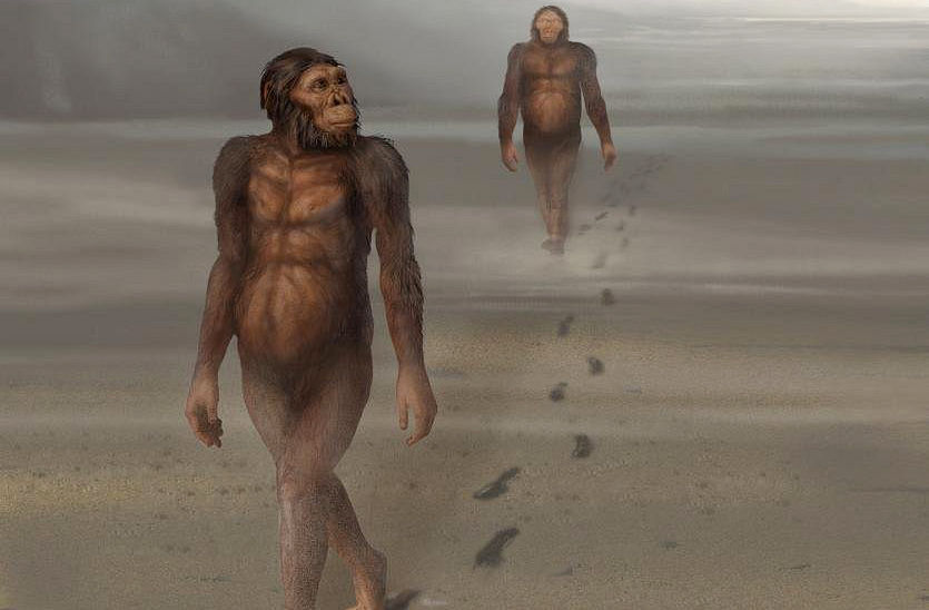 Olduvai nos lembra que a história da humanidade começou com passos simples, em uma paisagem silenciosa, cheia de descobertas.  Mais que um sítio arqueológico, é uma cápsula do tempo que revela como nos tornamos humanos. Um lugar onde o passado ainda fala.
