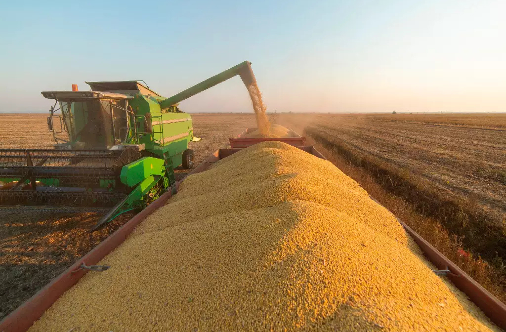 Desde sua emancipação em 1991, Pedrinhas Paulista contribui para o crescimento do oeste paulista com sua força agrícola.
