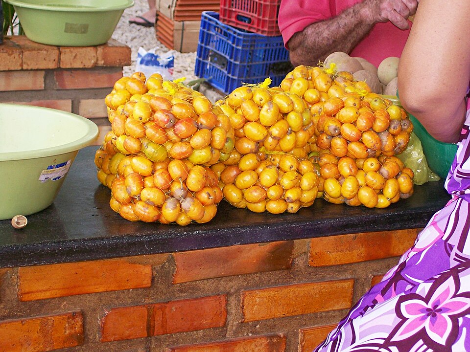 A árvore pode atingir até sete metros de altura e produz frutos saborosos e ricos em nutrientes. Eles, então, são pequenos, de sabor adocicado, com casca vermelha e polpa amarela ou alaranjada. 