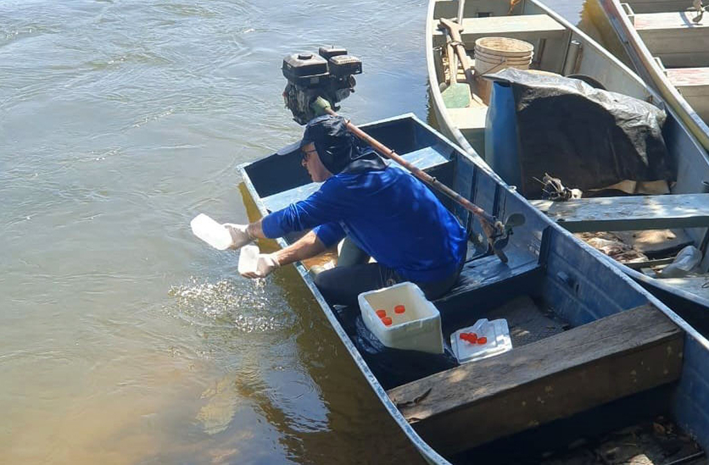 A exploração intensa trouxe impactos ambientais, mas também iniciativas de recuperação de áreas degradadas. Projetos de reflorestamento e monitoramento de bacias hidrográficas ganham força.
