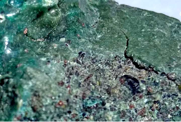 A minha sensação inicial foi de estranheza com muita curiosidade e questionamentos. Eu me senti feliz e motivada por estar desempenhando o papel de uma cientista, abordando e lidando com o problema, através de uma pesquisa inédita, disse Fernanda ao site do Governo Federal. 