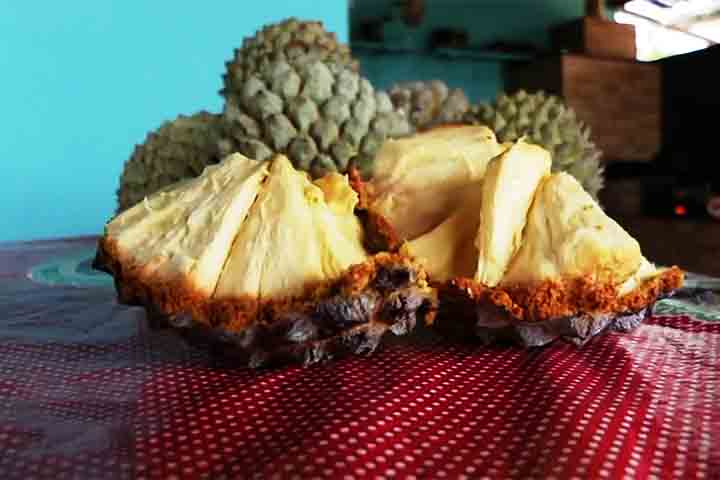 Estudos demonstraram que os extratos de diferentes partes do araticum (marolo) eram potentes antioxidantes, principalmente a polpa e a casca da fruta.